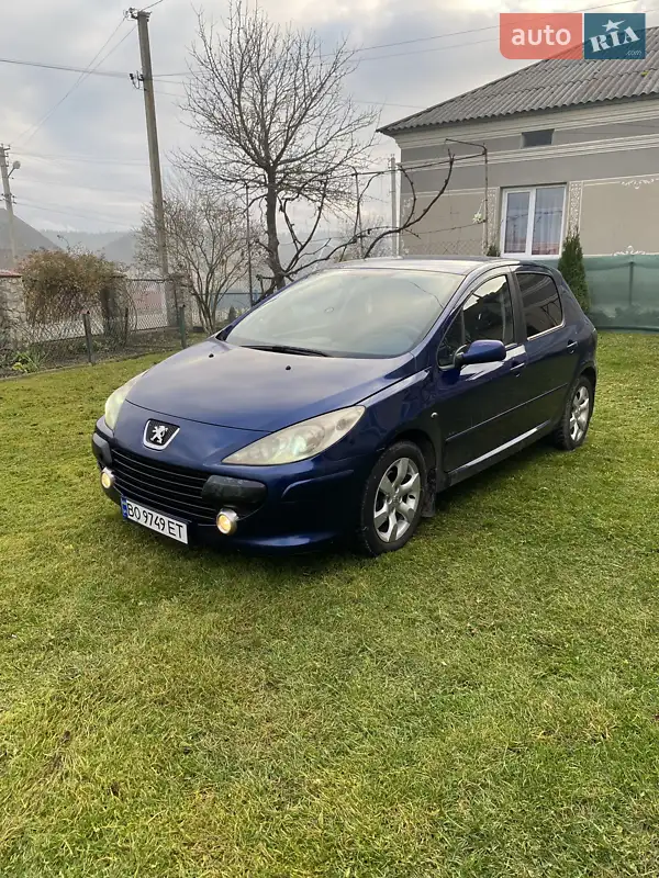 2005 peugeot 307