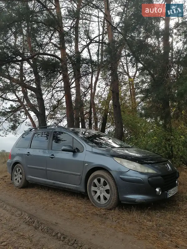 2007 peugeot 307
