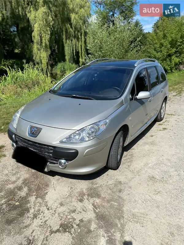 2006 peugeot 307