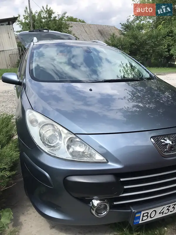 2007 peugeot 307