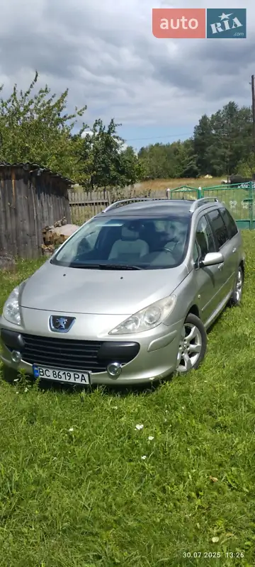 2006 peugeot 307