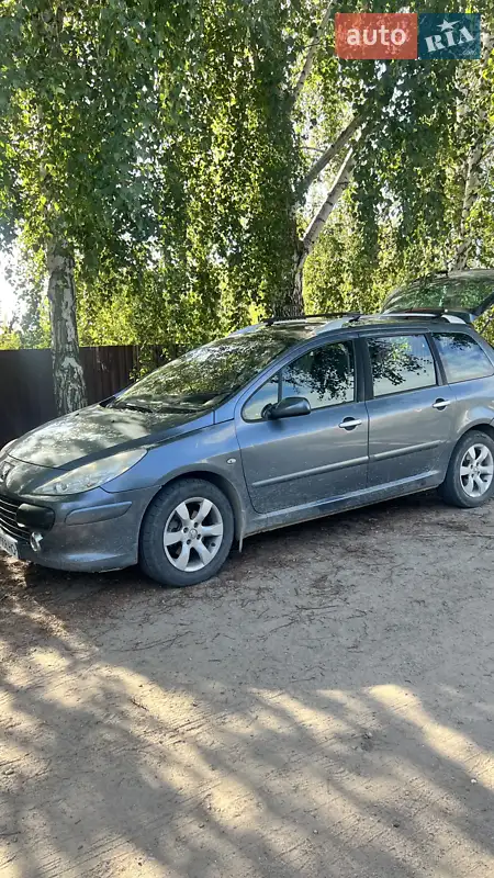 2006 peugeot 307