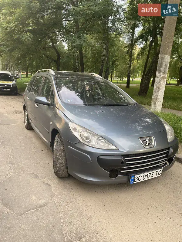 2006 peugeot 307