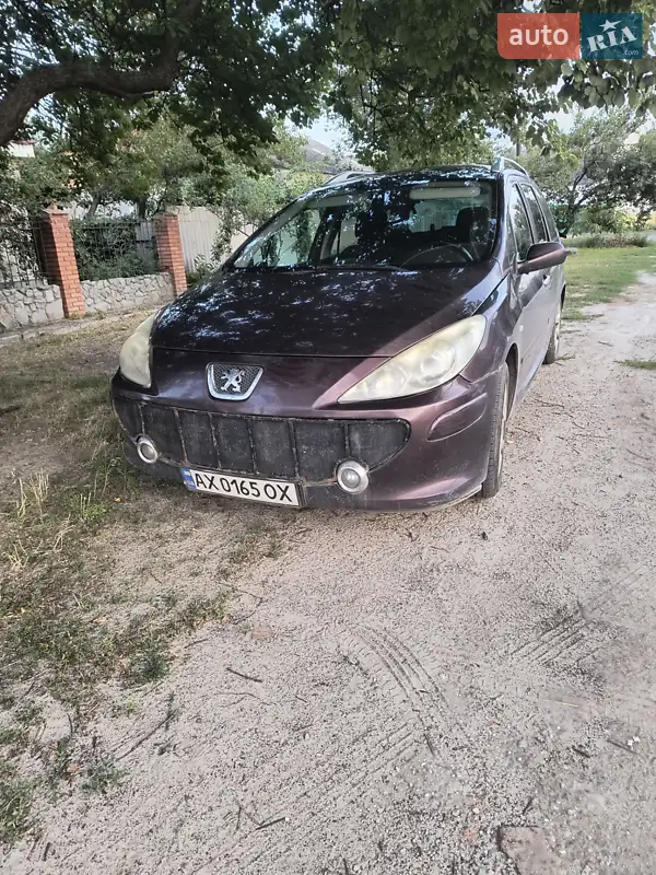 2006 peugeot 307