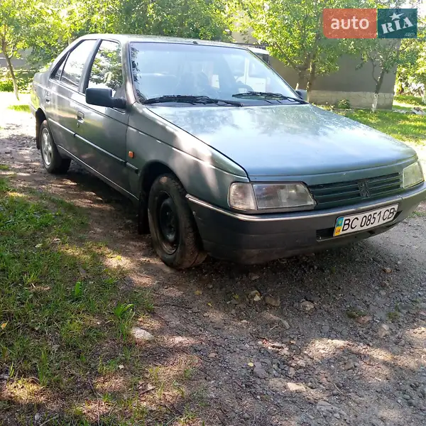1995 peugeot 405