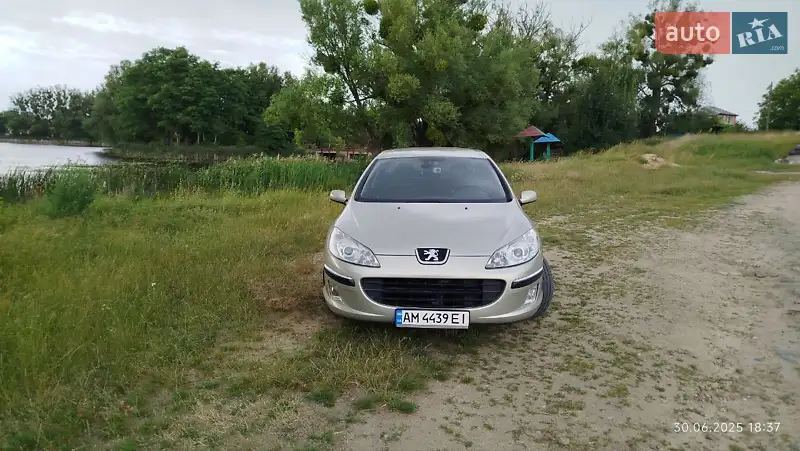 2005 peugeot 407