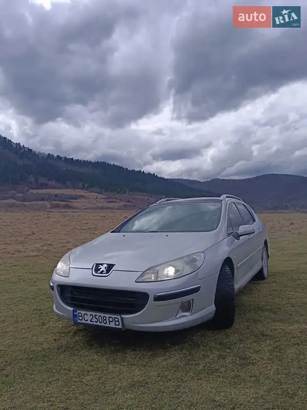 2005 peugeot 407