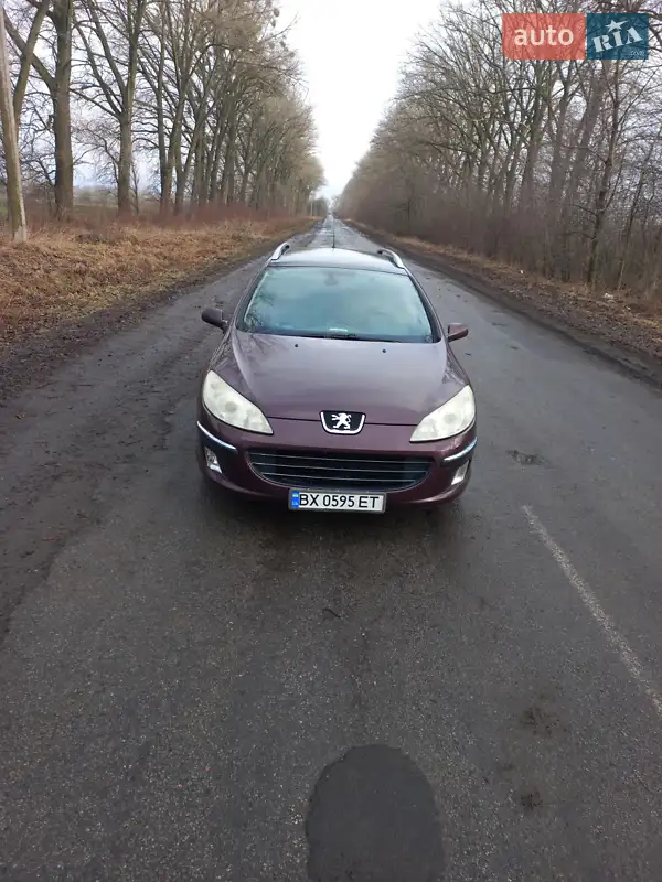 2007 peugeot 407
