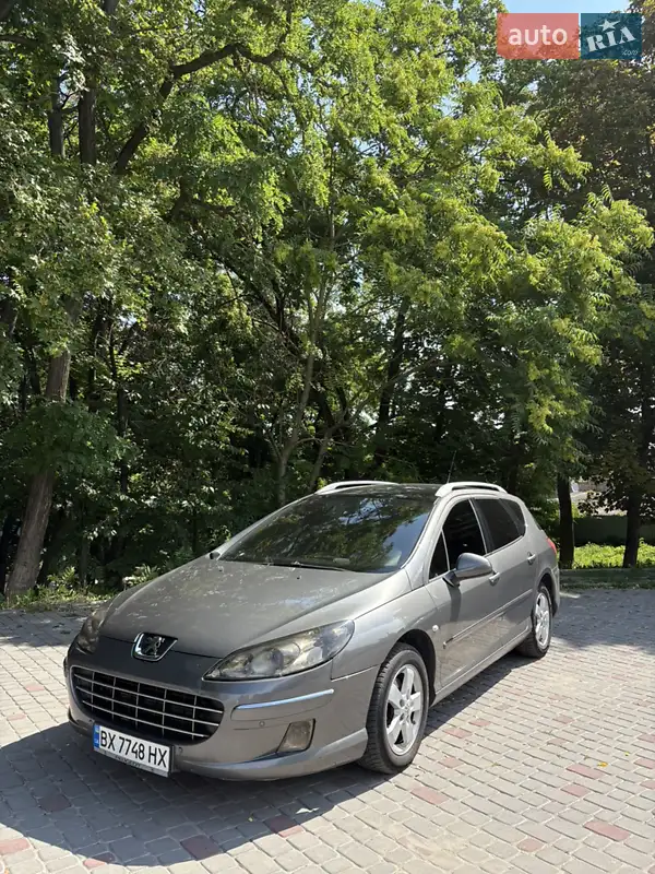 2009 peugeot 407