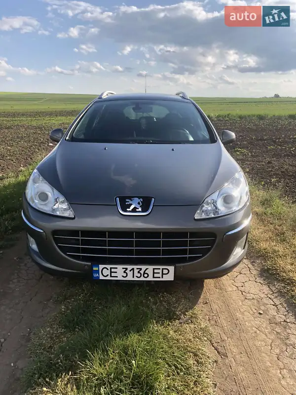 2009 peugeot 407