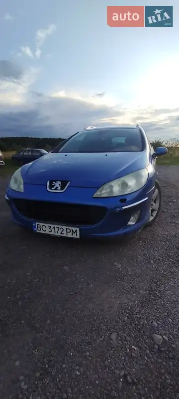 2004 peugeot 407