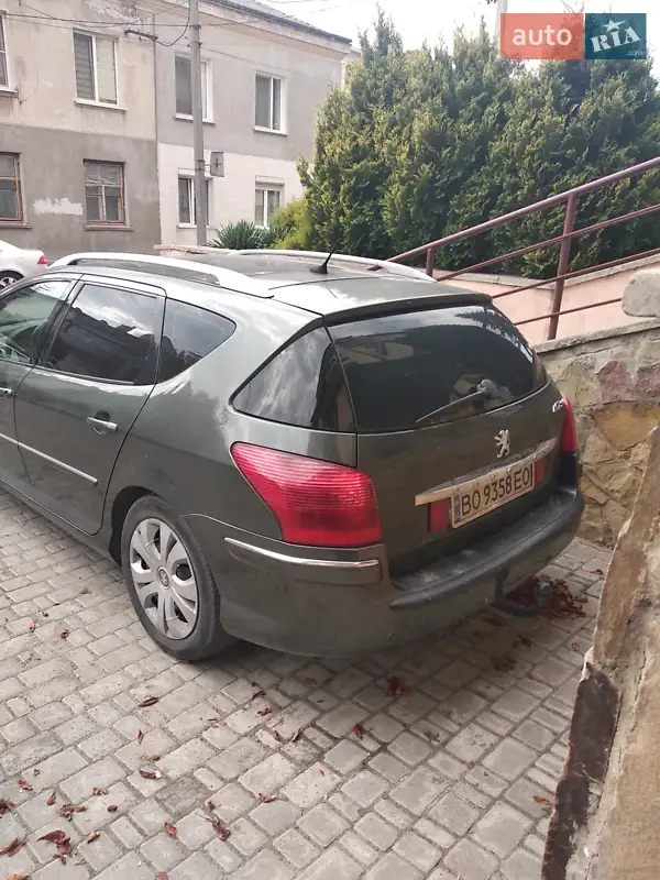 2007 peugeot 407