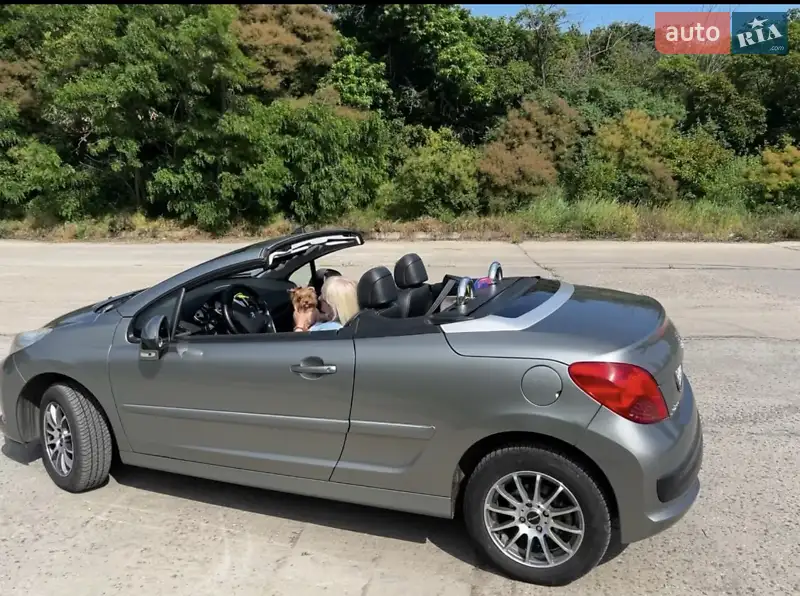 2009 peugeot 207