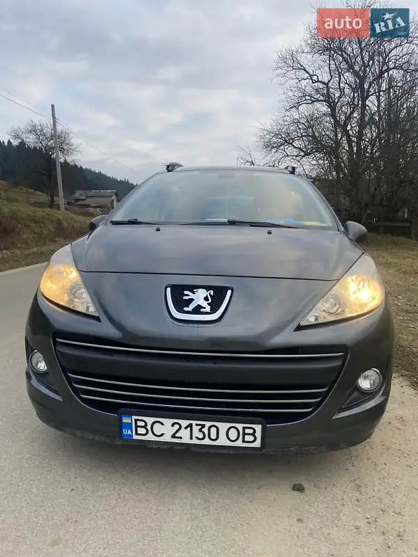 2010 peugeot 207