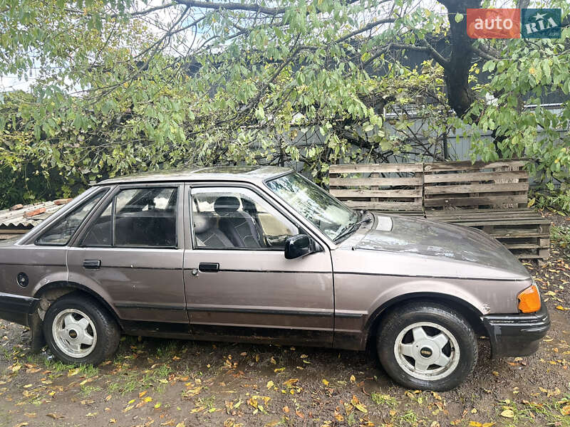 1986 ford escort