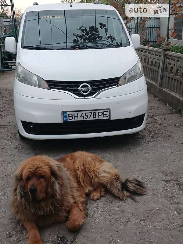 2011 nissan nv 200