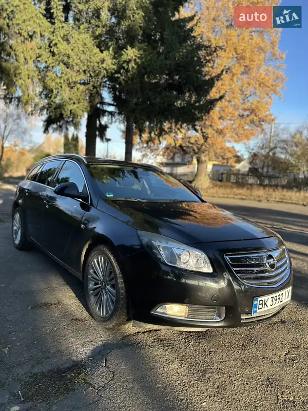 2010 opel insignia