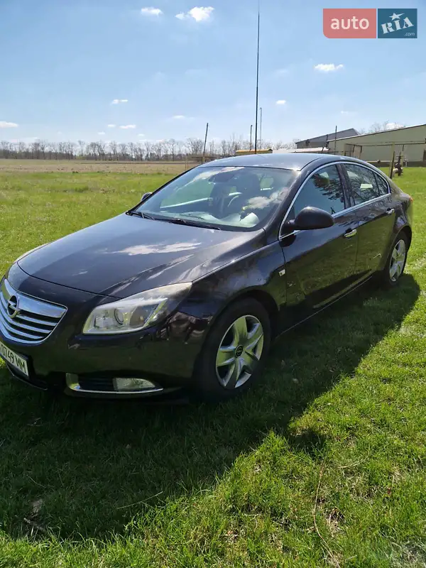 2010 opel insignia