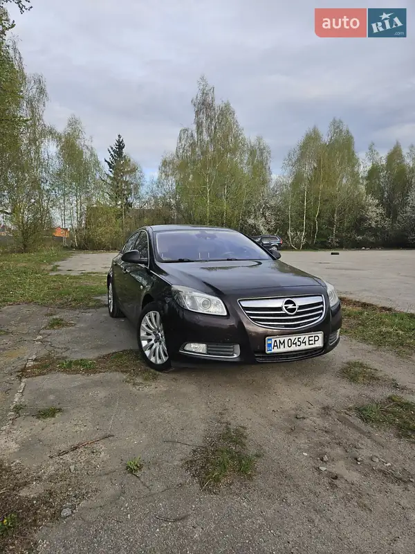 2010 opel insignia
