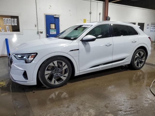 2020 audi e-tron pre