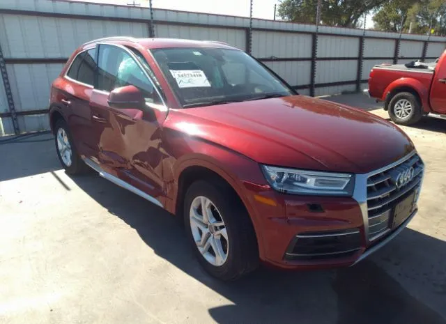 2019 audi q5
