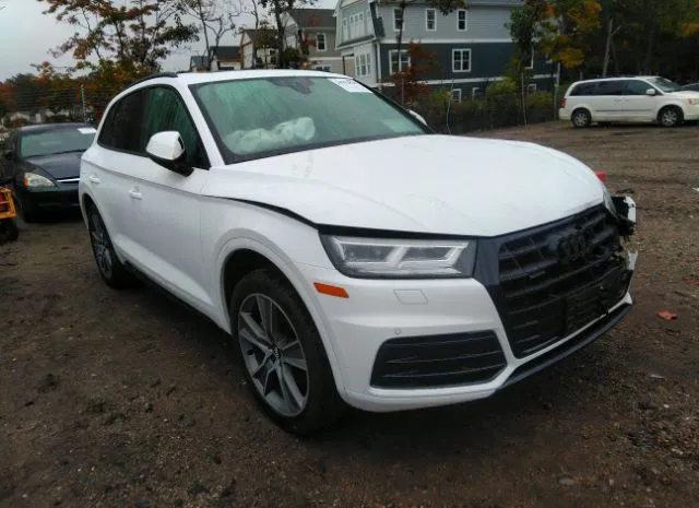 2019 audi q5