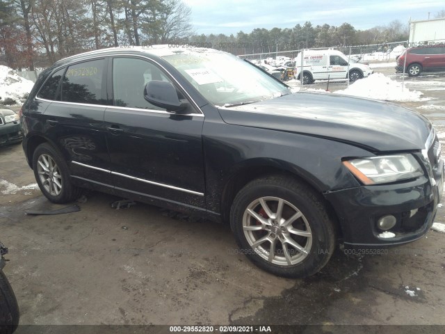 2010 audi q5