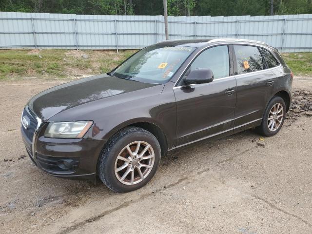 2010 audi q5