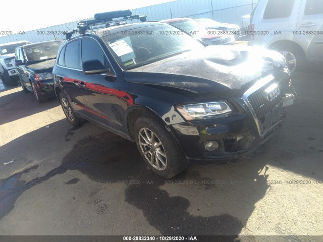 2010 audi q5