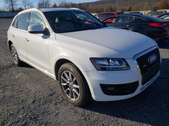 2010 audi q5