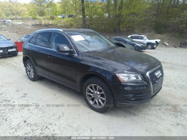 2010 audi q5
