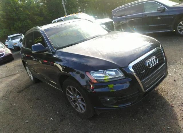 2010 audi q5