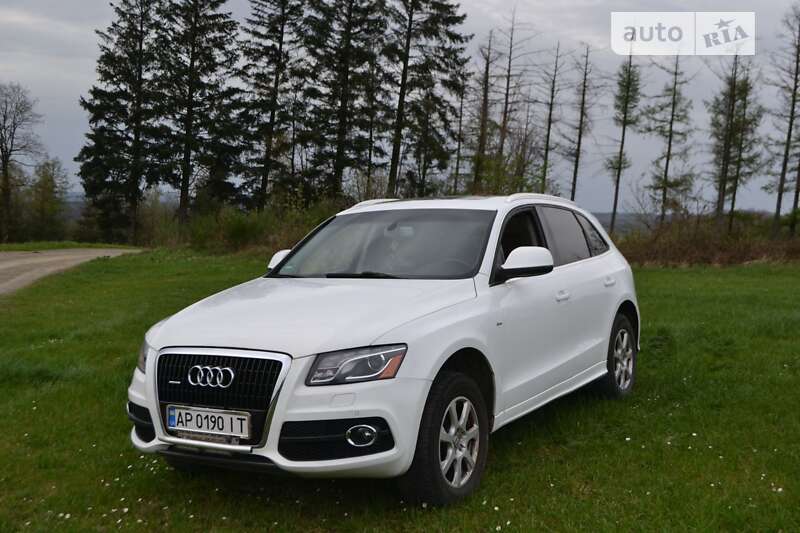 2010 audi q5
