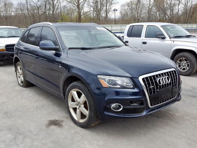 2010 audi q5