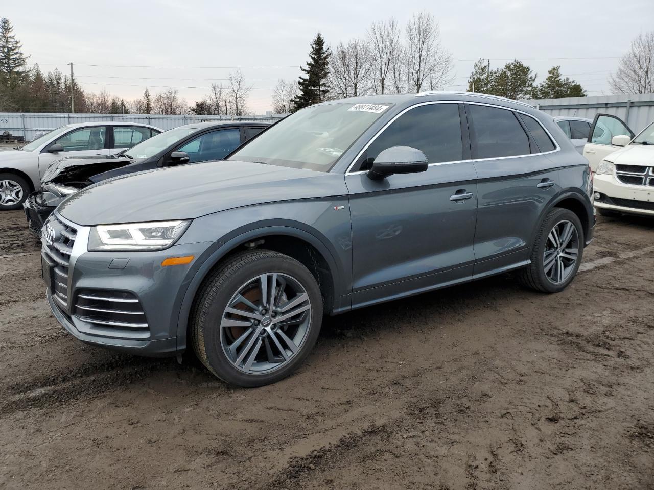 2019 audi q5