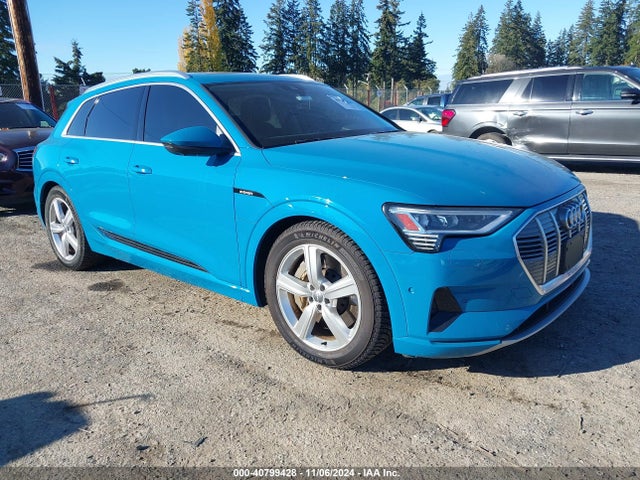 2019 audi e-tron