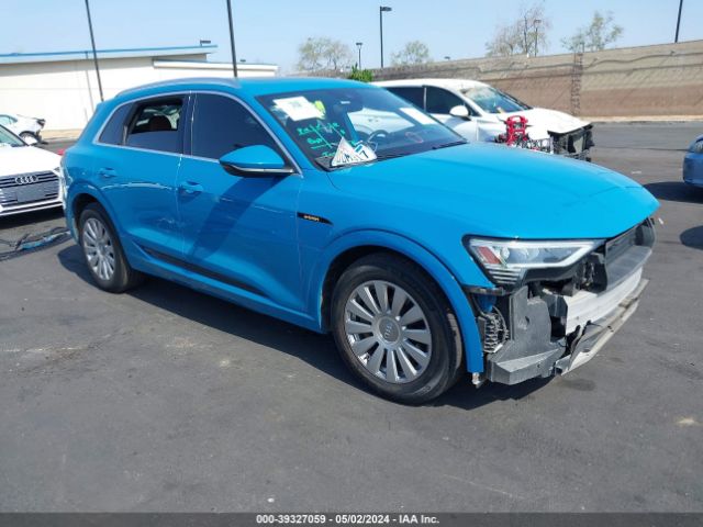 2019 AUDI e-tron
