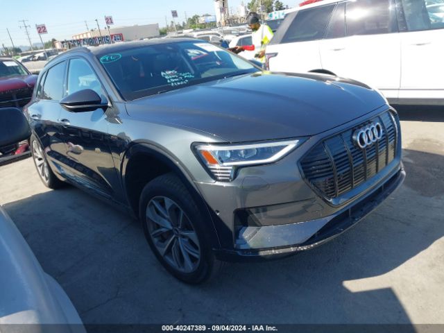 2021 AUDI e-tron