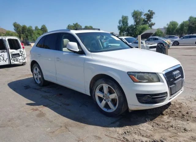 2010 audi q5