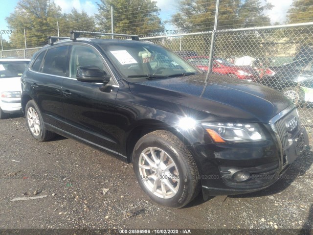 2010 audi q5