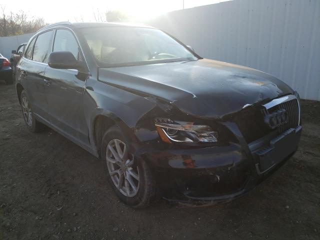 2010 audi q5