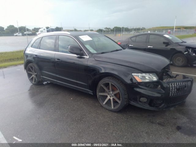 2010 audi q5