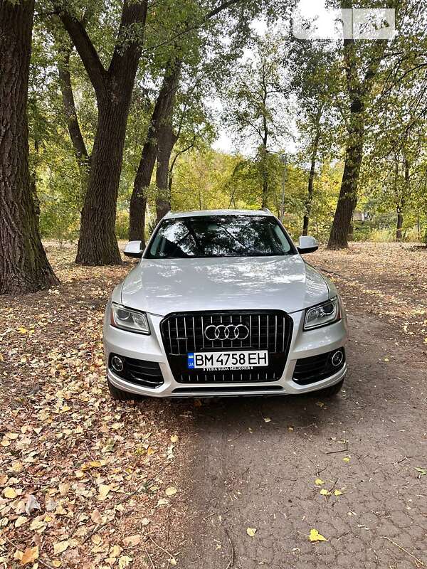 2013 audi q5