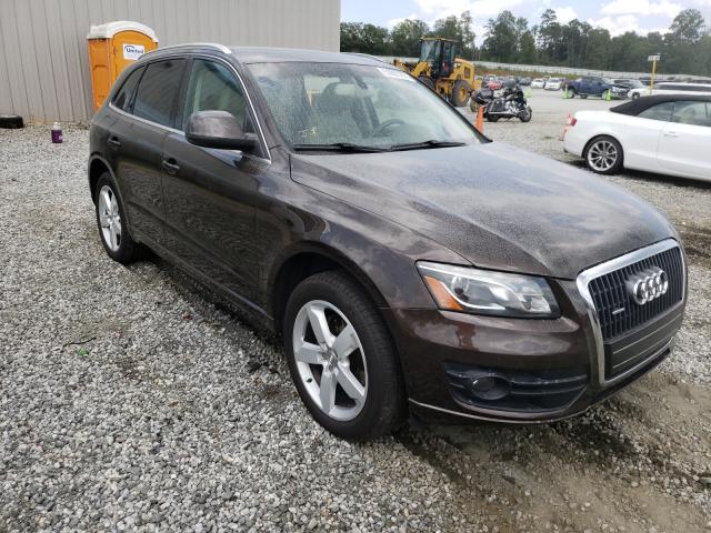 2010 audi q5