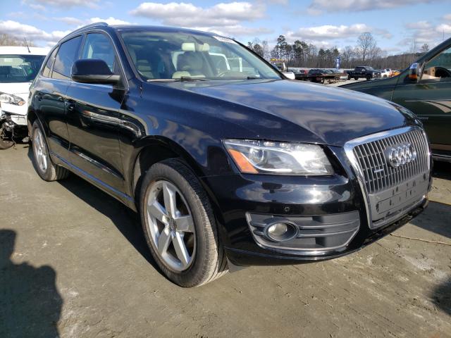 2010 audi q5
