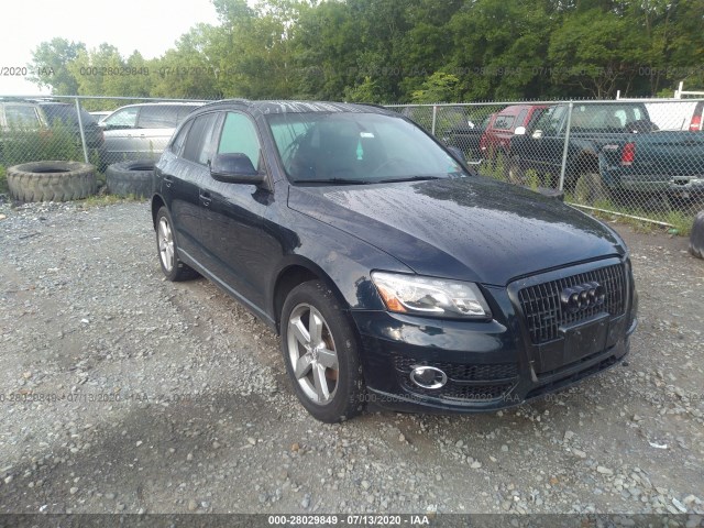 2010 audi q5