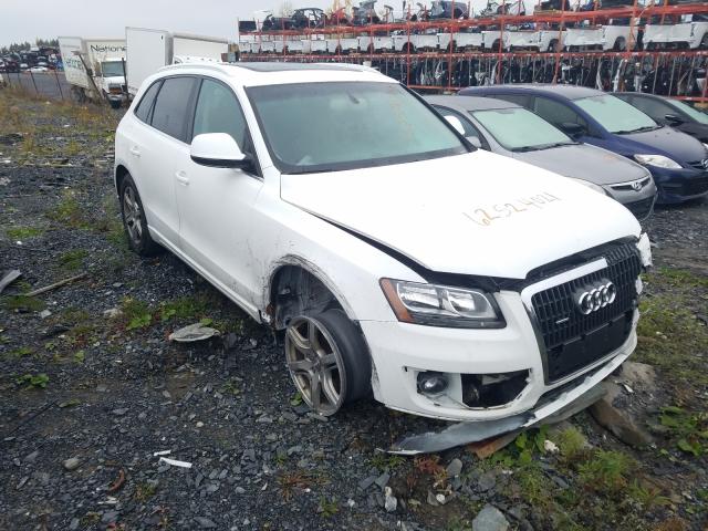 2010 audi q5 premium