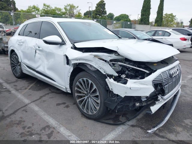 2019 audi e-tron