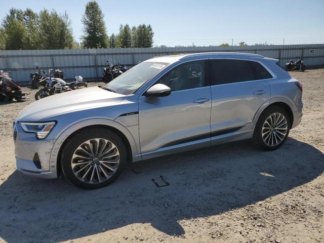 2019 AUDI e-tron