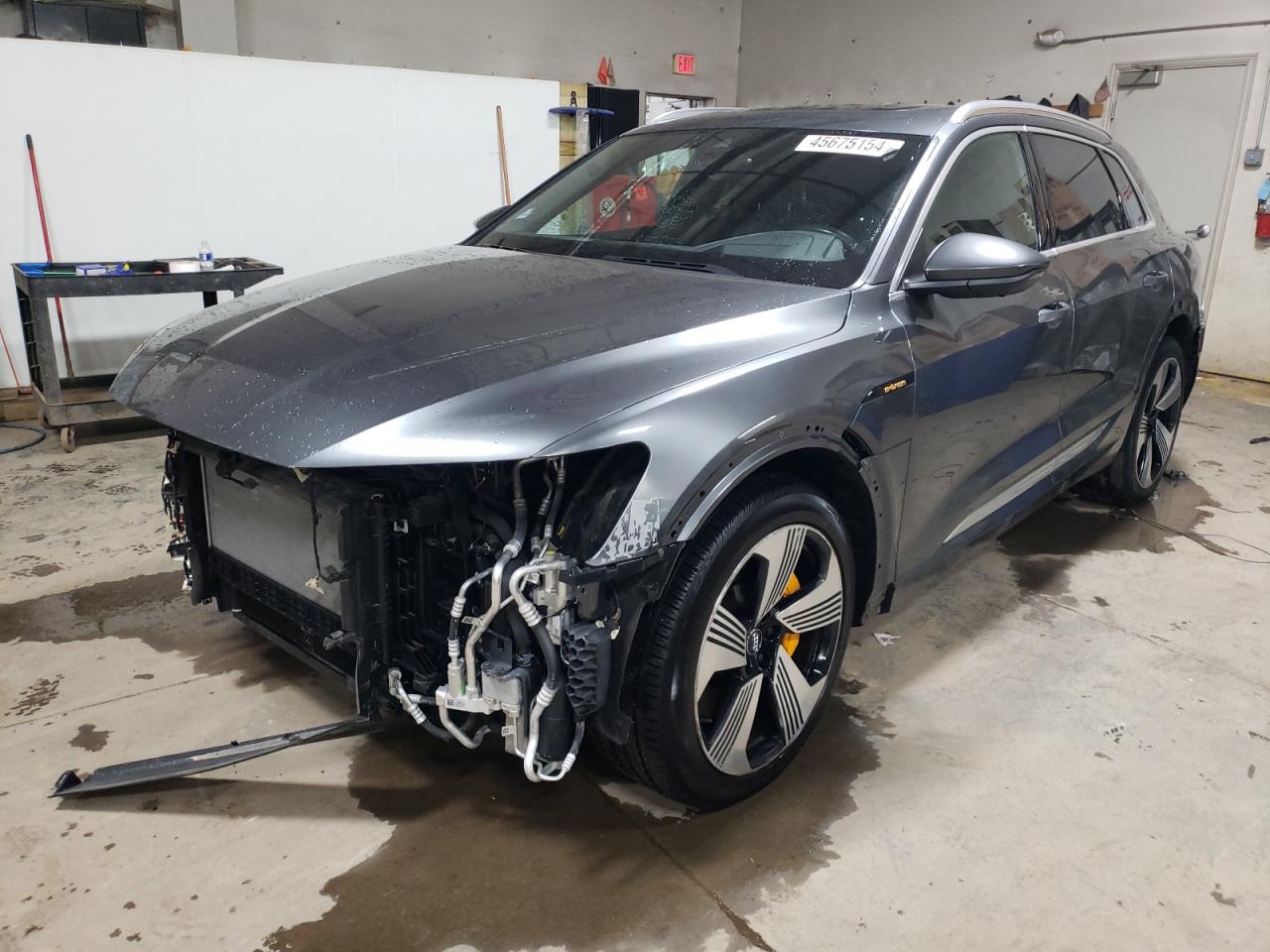 2019 AUDI e-tron